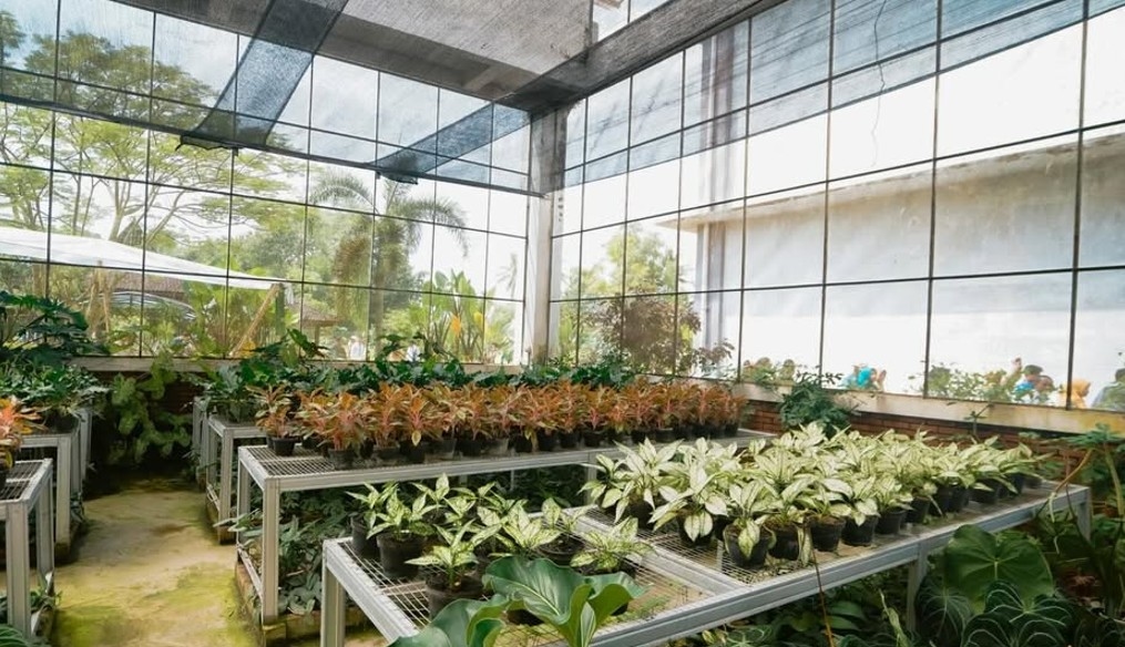 Jogja Agro Park Kulon Progo Difokuskan untuk Pembenihan 