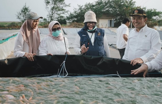 Inudstri Kulit, Perikanan, hingga Energi Terbarukan, Pemda DIY Perkuat Potensi Ekonomi Bantul 