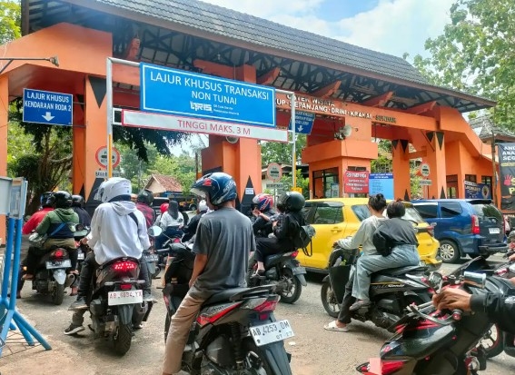 Pemkab Gunungkidul Ganti Semua Petugas TPR Pantai Baron dengan ASN, Kenapa?