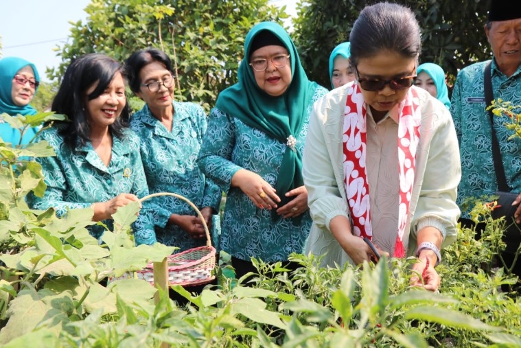 Manfaatkan Galon Bekas sebagai Media Tanam, Ibu di Kulon Progo Ukir Prestasi Tingkat Provinsi