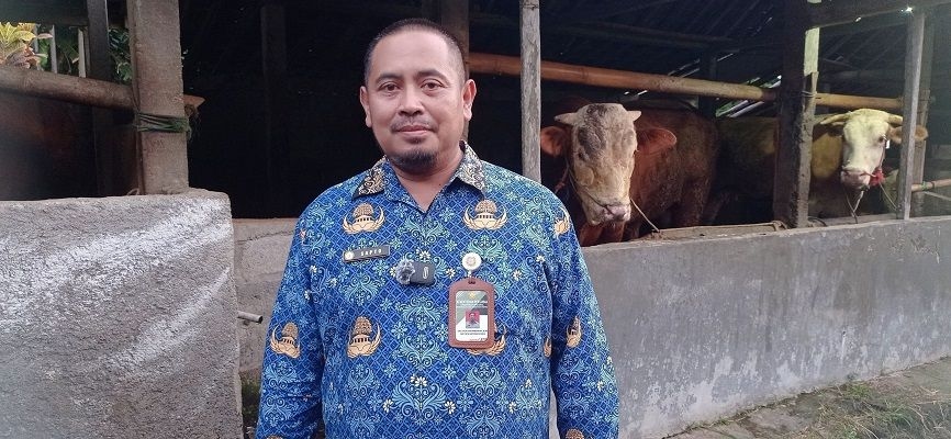 Muncul PMK, Balai Besar Veteriner Segera Ambil Sampel