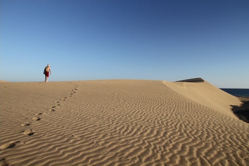 7 Fakta Unik Gumuk Pasir Parangkusumo Jogja yang Bikin Kamu Ngerasa Lagi di Gurun Sahara