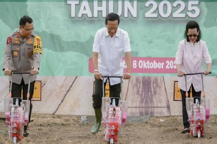 Demi Ketahanan Pangan Sri Sultan HB X Beberkan Kontrak 22 Ribu Hektare dengan Petani, Termasuk  Lahan Jagung