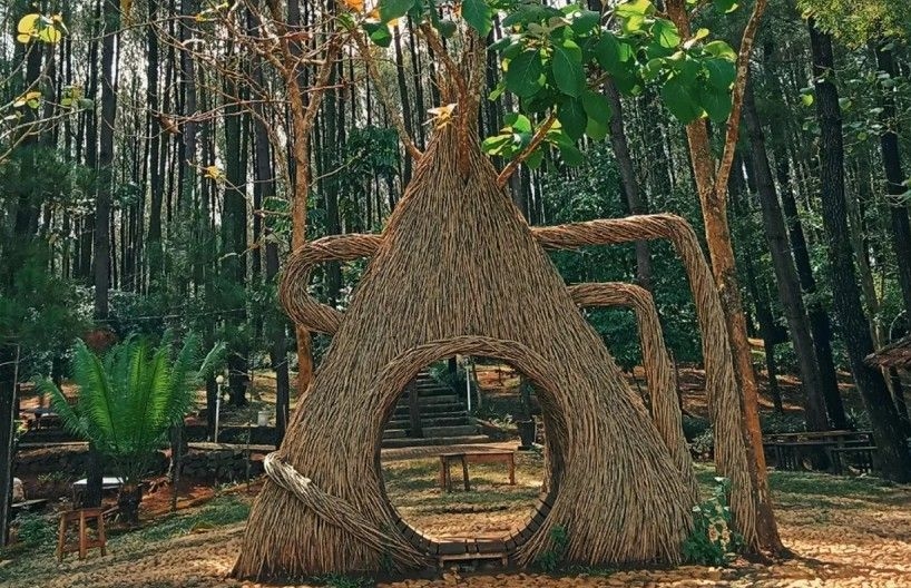 Tambah Asyik, Hutan Pinus Pengger Kini Ada Glampingnya Lho