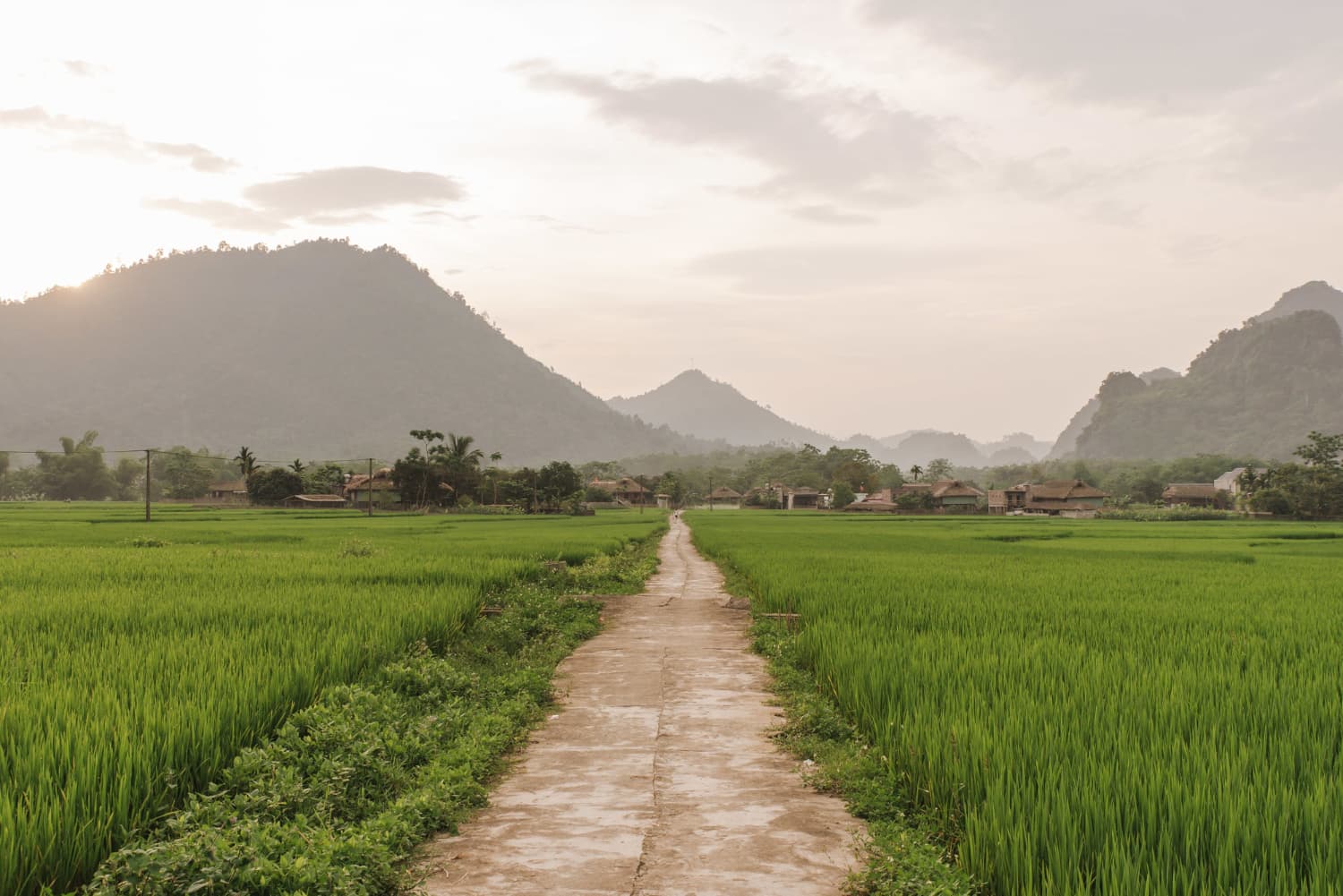 Guru Besar UGM: Pengalihan 58 Persen Dana Desa ke Koperasi Merah Putih Lemahkan Otonomi Desa