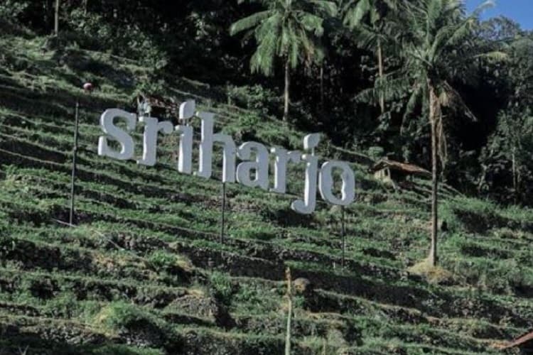 Sukses Gelar Forest Trail Run, Nama Desa Sriharjo Semakin Dikenal sebagai Destinasi Wisata Alam