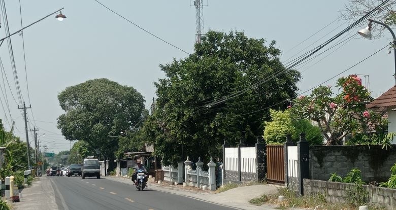Sleman Anggarkan Rp 30 Miliar untuk Wujudkan 'Sleman Dalane Padang'