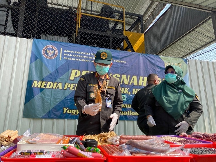 Balai Karantina DIY Musnahkan Ratusan Kilogram Komoditas Ilegal