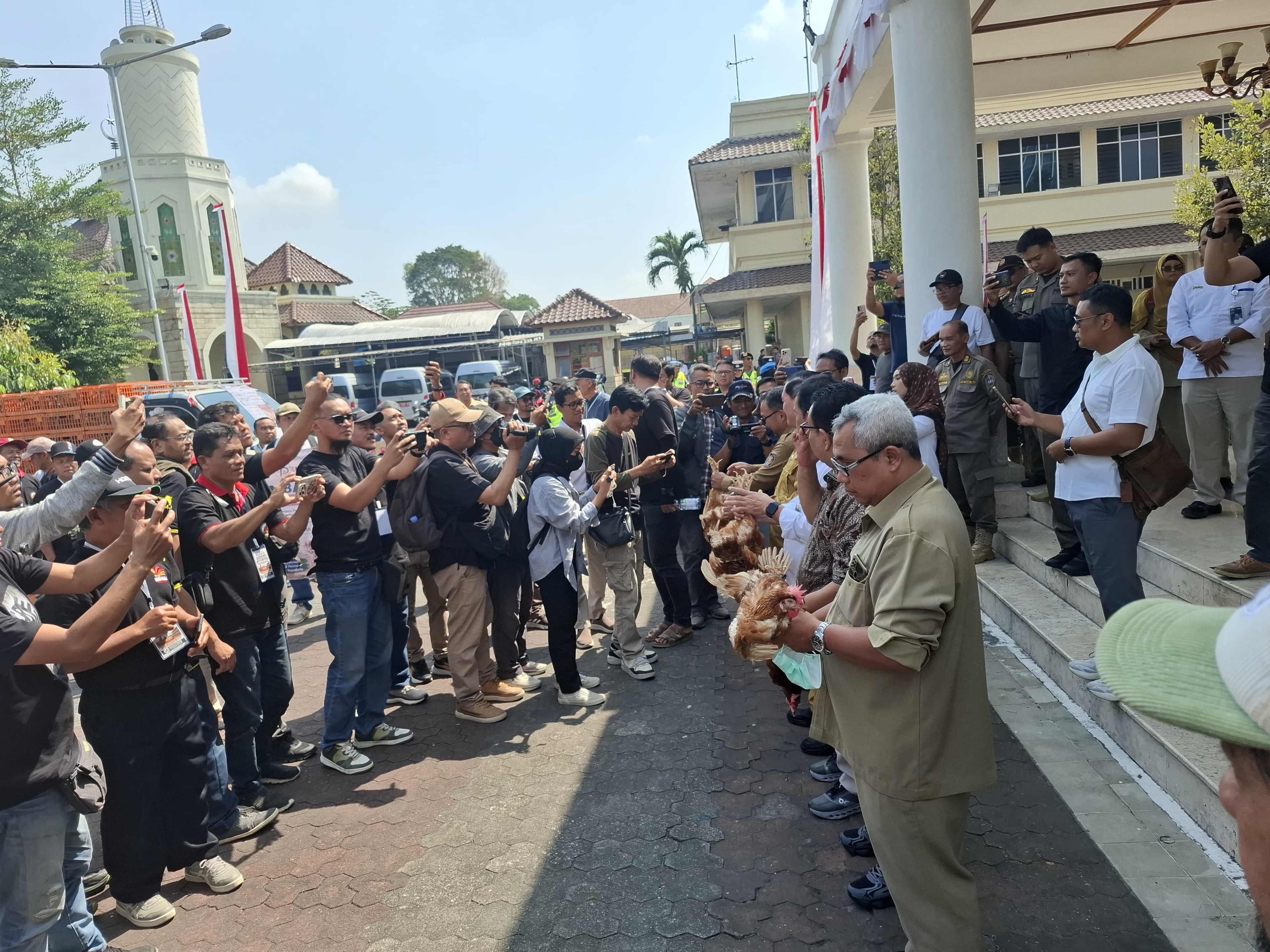 Curhat ke DPRD DIY, Paguyuban Peternak Petelur Yogyakarta Serukan 6 Tuntutan, Apa Saja?