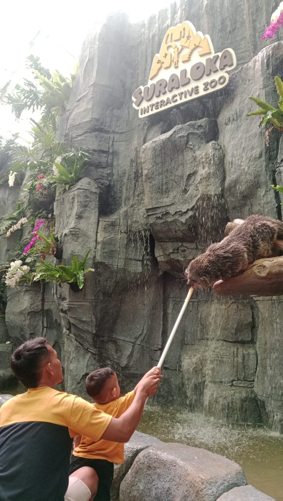 Usung Tema Interaktif Zoo, Suraloka Cocok Untuk Bermain Anak-Anak