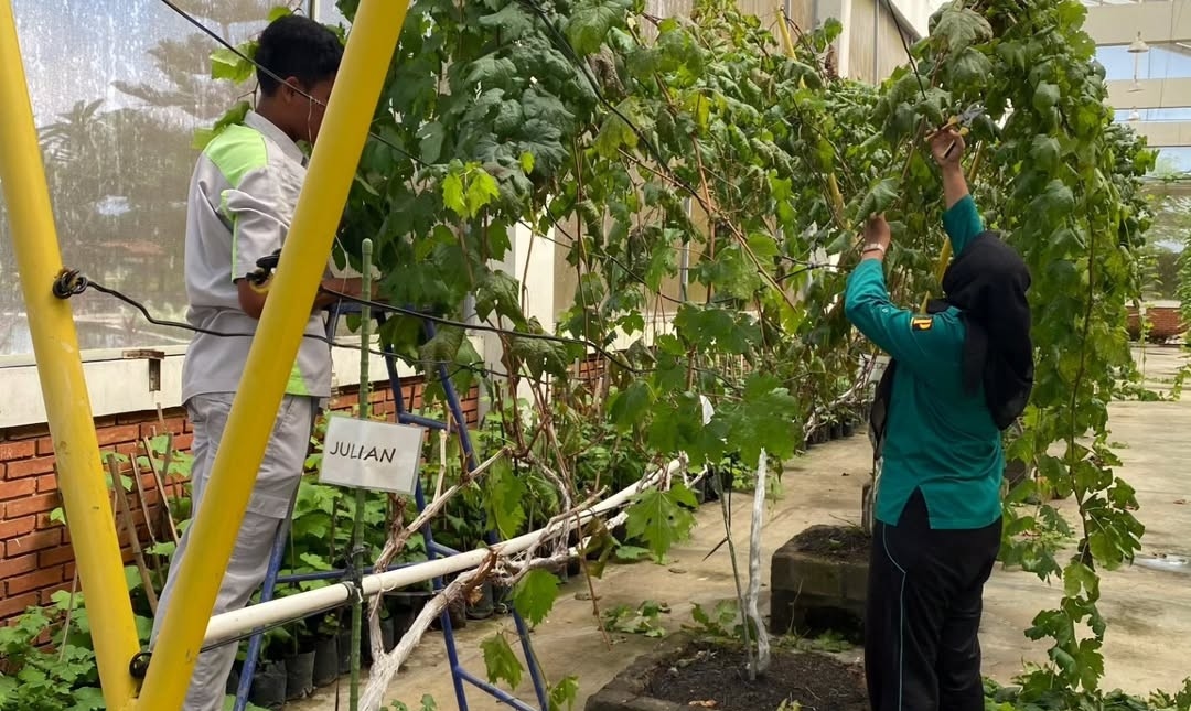 Jogja Agro Park, Media Edukasi Pertanian Bagi Masyarakat Jogja