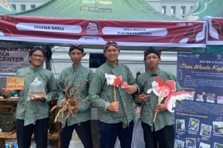 Geliat Desa Wisata Ikan Hias Gilangharjo, Bantul, Produknya Sudah Ekspor ke Mancanegara
