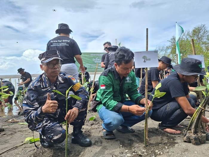 Tanam 5.000 Bibit Pohon Mangrove, Cegah Abrasi Pesisir Selatan DIY