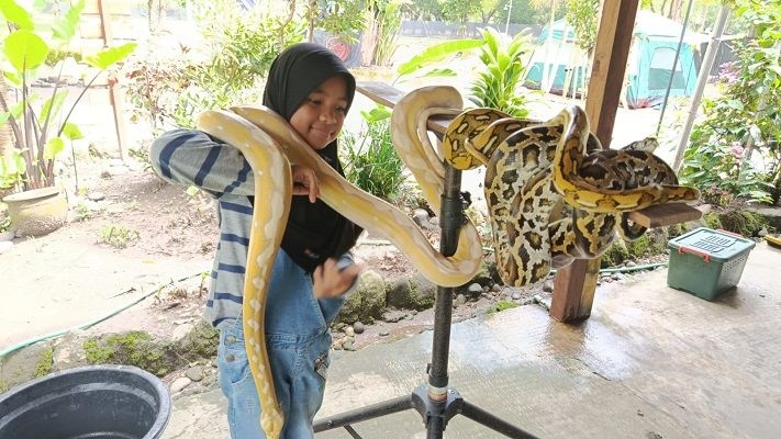 Kaliurang Park Suguhkan Momen Liburan Tahun Baru Tak Terlupakan, Berupa Apa?